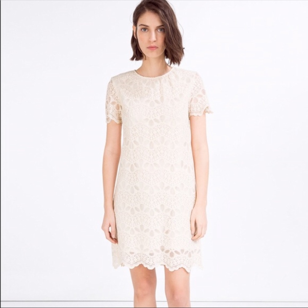 ZARA Lace Dress NWOT